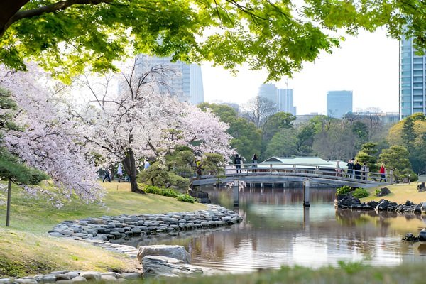 Hamarikyu Gardens