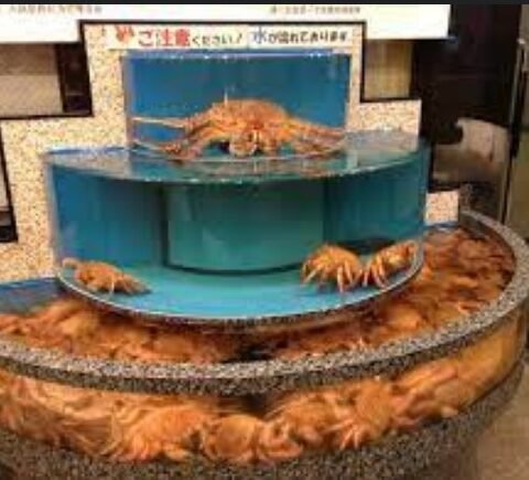 Japanese Crab Restaurant