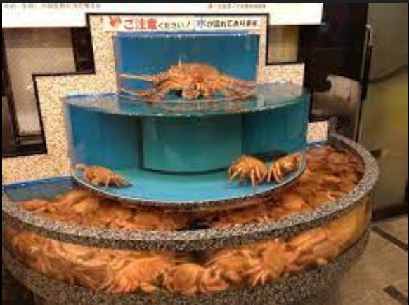 Japanese Crab Restaurant