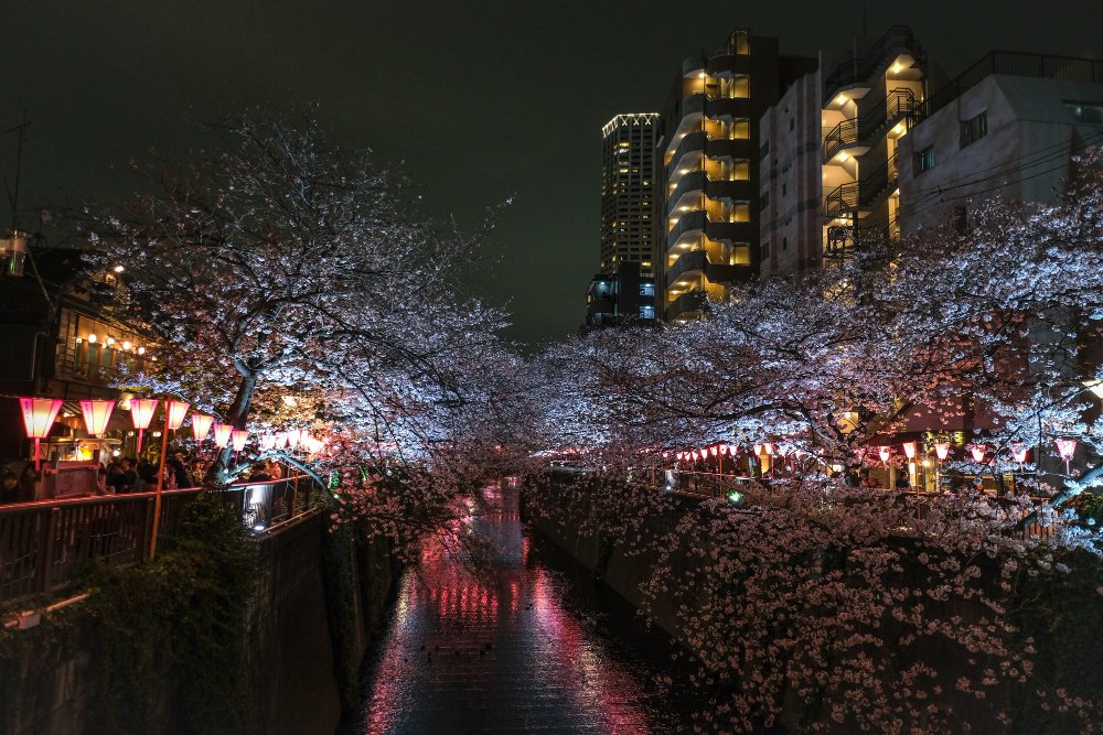 Winter in Tokyo 