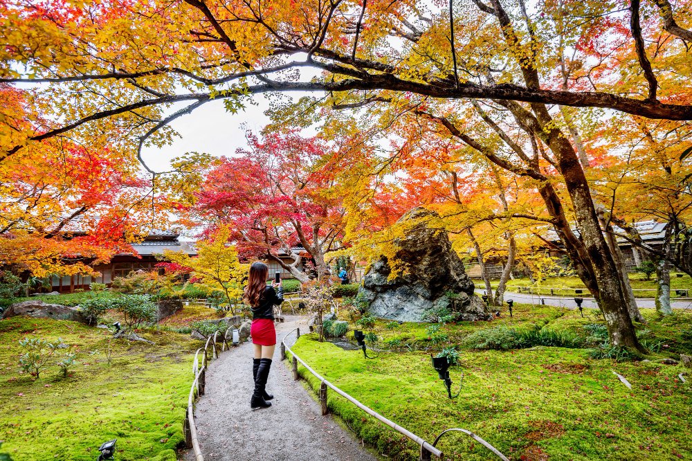 Autumn in Tokyo 