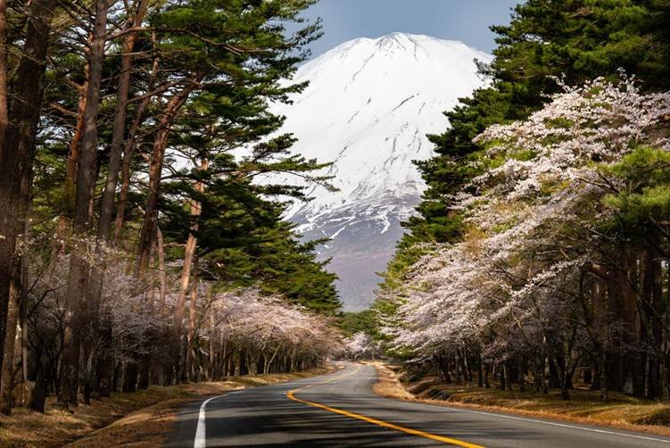 Tokyo to mount fuji Japan Road Trip Itinerary