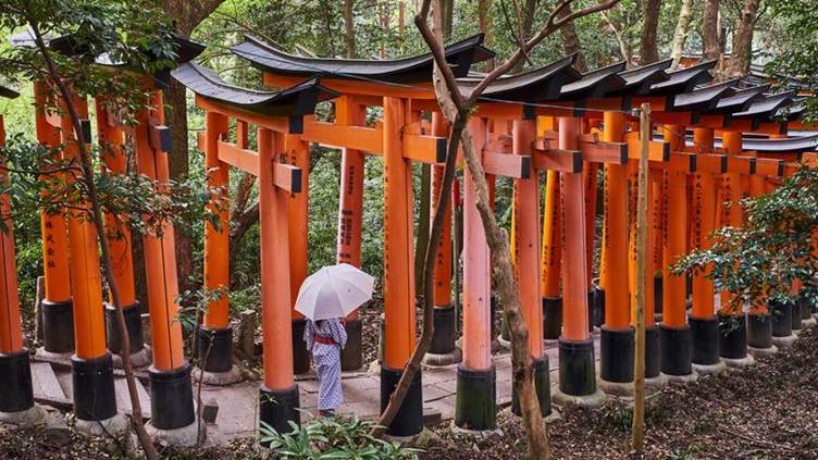 Hakone to Kyoto best seens