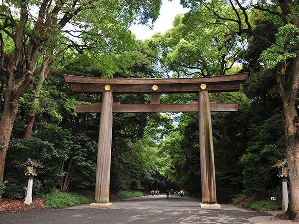 Shibuya & Meiji Shrine - 6 days in Tokyo itinerary
