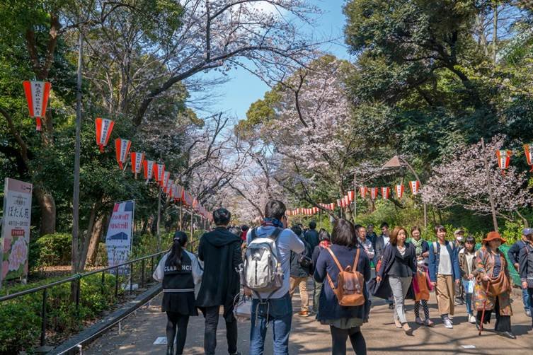 Asakusa, Ueno & Akihabara - 6 days in Tokyo itinerary
