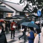 japan healthcare IoT security market